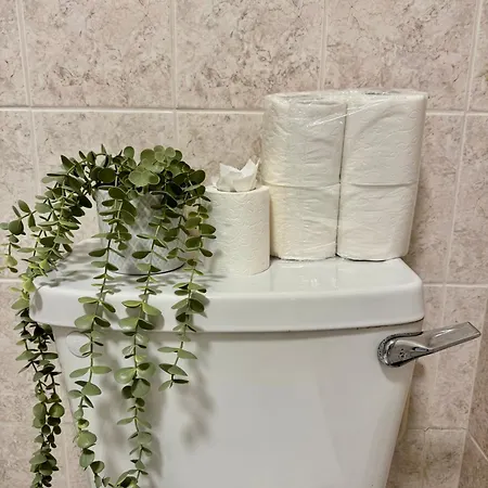 By The Sea Salthill - Entire *