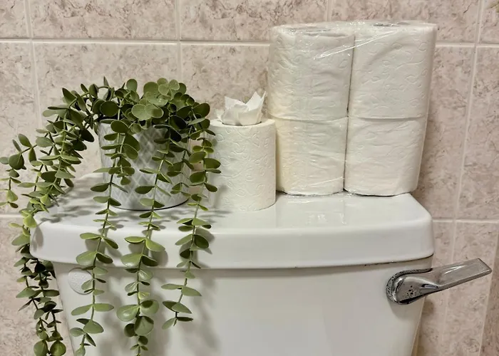 By The Sea Salthill - Entire *